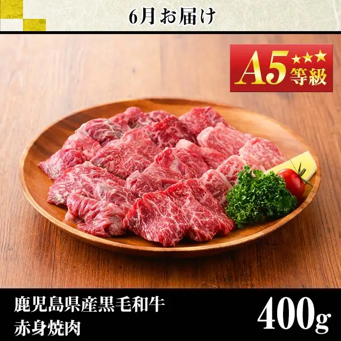 No.1013 ＜定期便・全4回＞鹿児島県産黒毛和牛赤身定期便(合計1.7kg)牛肉 黒毛和牛 和牛 ステーキ スライス 焼肉 BBQ キャンプ 定期便 頒布会 A5 冷凍 ギフト【LRプラスK】