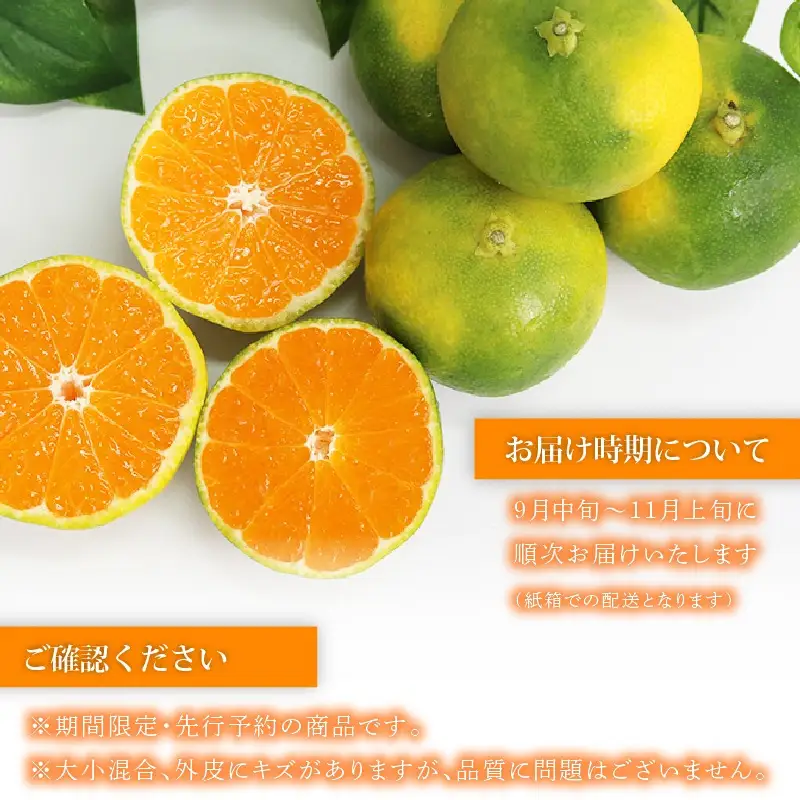 【先行予約】訳あり 極早生みかん 5kg | 温州みかん みかん 蜜柑 ミカン 柑橘 緑のみかん 酸っぱい 酸味 家庭用 秋の味覚 旬 ごくわせ フルーツ 果物 くだもの 産地直送 数量限定 期間限定 人気 おすすめ 国産 高知県 室戸市