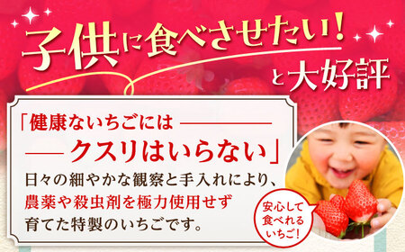 【先行予約】【全3回定期便】さがほのかいちごさん冷凍いちご HAF027 果物 フルーツ