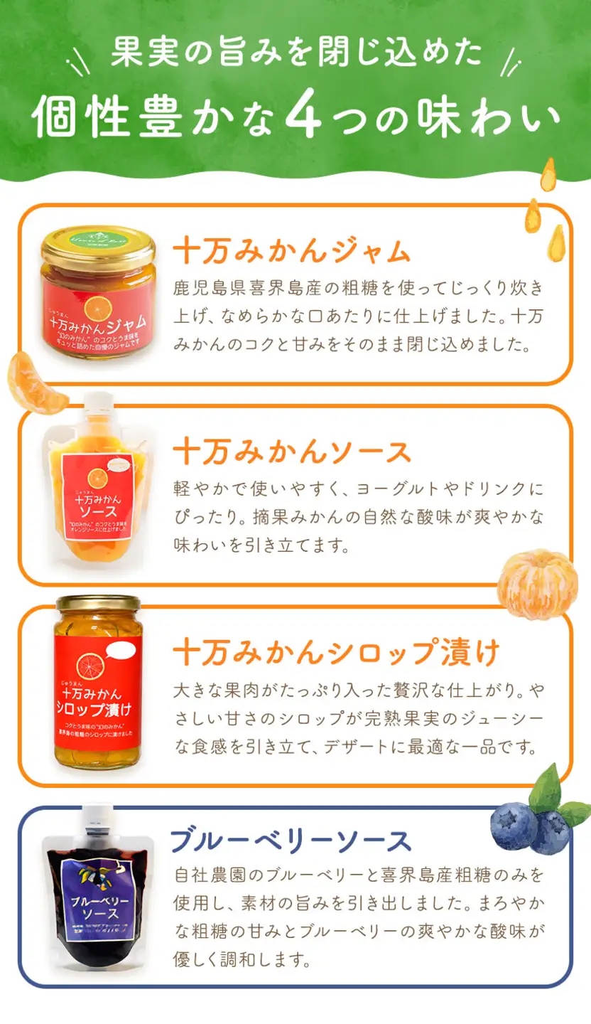 加工品4種セット ソース 2種 ジャム シロップ漬け 各1個 田野農園《30日以内に出荷予定(土日祝除く)》鹿児島県 さつま町