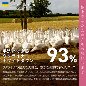  【甲州羽毛肌掛けふとん】手洗いできるウクライナホワイトダウン93% ホワイト（セミダブル) ふとんカバー付  羽毛布団 セミダブル 掛け布団 洗える 甲州 寝具