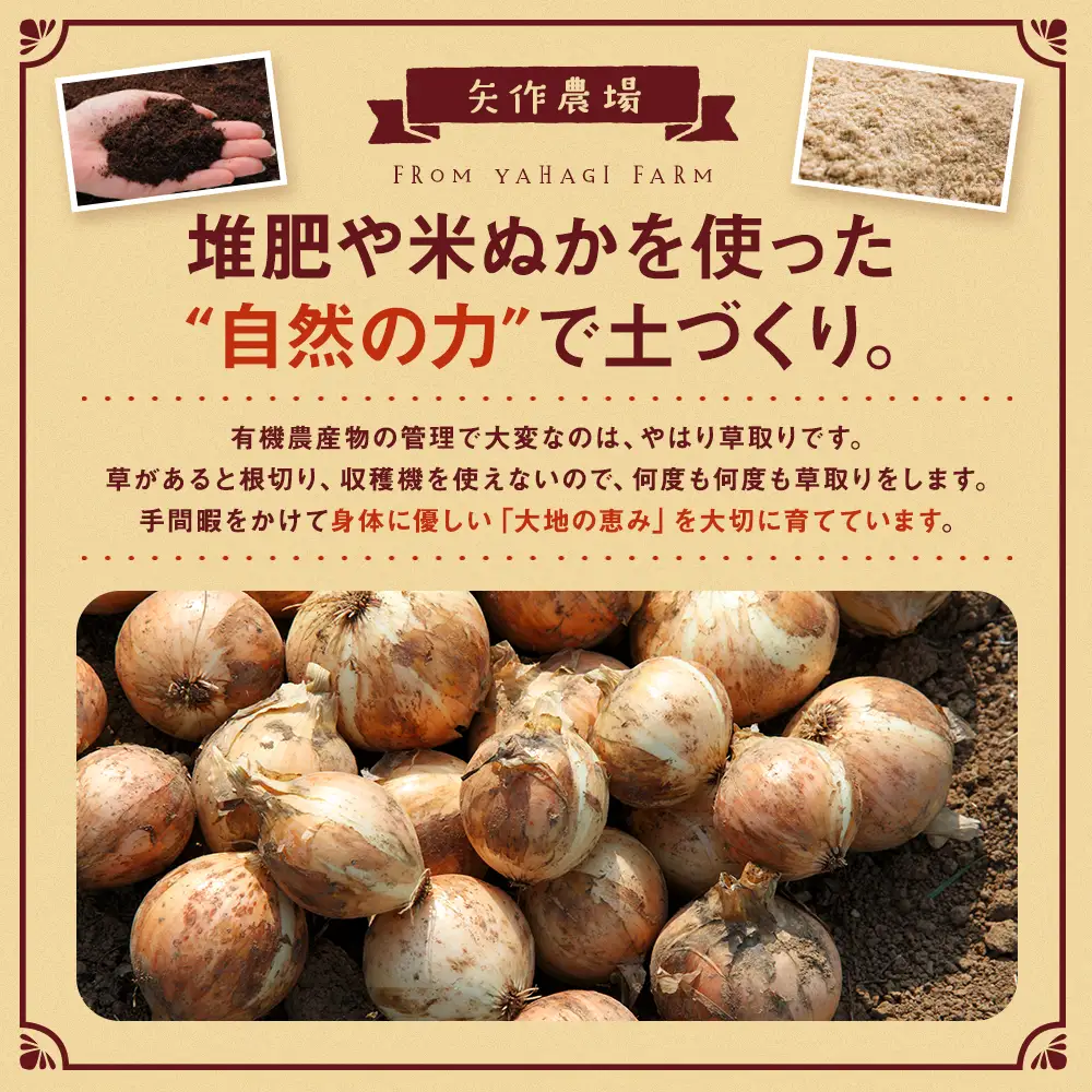 【先行受付】R8年産 有機栽培玉ねぎ 20kg | 玉ねぎ たまねぎ タマネギ 玉葱 大容量 オニオン 甘い 有機栽培 国産 産地直送 カレー ハンバーグ 煮込み 炒め物 北海道 津別町 送料無料