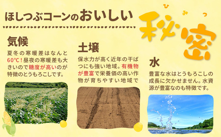 【2026年先行予約】「ほしつぶコーン」10本 