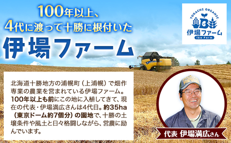 北海道産 オーガニック ホワイトコーン 10本 2026年予約 伊場ファーム