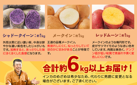 じゃがいも6種の彩りセット 1kg × 6袋 じゃがいも メークイン キタアカリ 男爵 シャドークイーン ノーザンルビー レッドムーン 