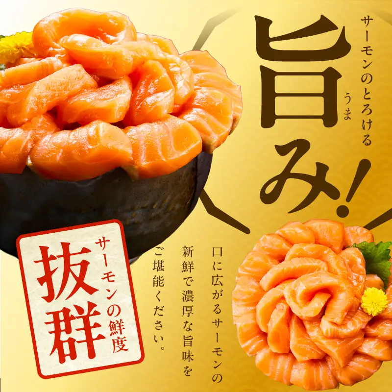 北極圏サーモン ポーション 1kg