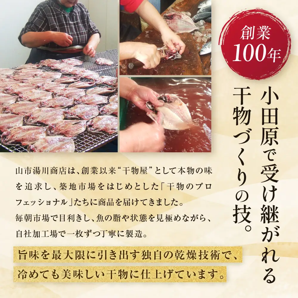 【国産】おまかせ干物セット 松コース【惣菜 魚 干物 ひもの お取り寄せ 御中元 お中元 お歳暮 父の日 母の日 贈り物 家庭用 自宅用 贈答品 贈答用 ギフト 定番 神奈川県 小田原市 ひもの】
