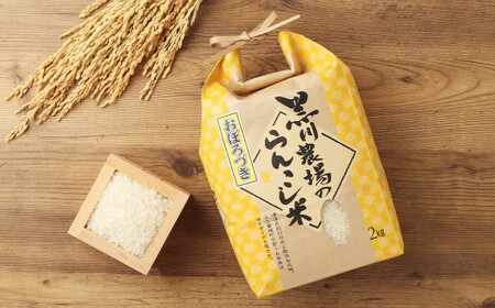〈令和6年度産〉らんこし米（おぼろづき）2kg （黒川農場）
