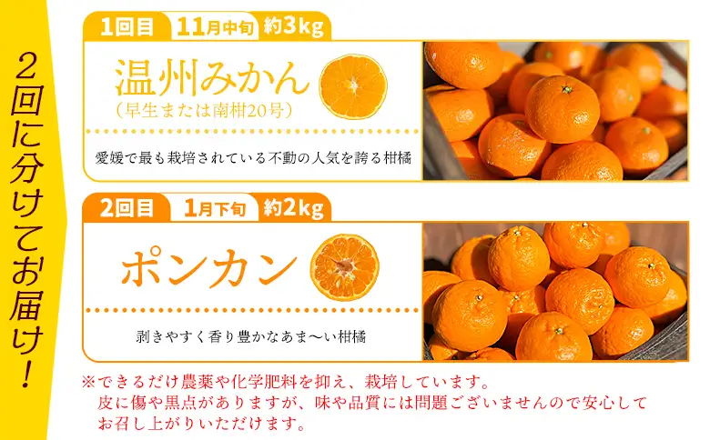＜旬をお届け！季節の柑橘 2回定期便（温州みかん約3kg・ポンカン約2kg）＞ミカン ぽんかん 蜜柑 果物 果実 フルーツ お楽しみ 2種類 食べ比べ 手軽 特産品 国産 愛媛県 西予市【常温】『1回目：2026年11月中旬～／2回目：2027年1月下旬～に順次出荷予定』ANS0017