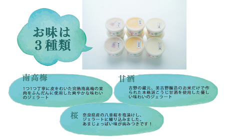 素材を生かした イタリア仕込み 奥大和のめぐみ ジェラート （ 3種 ） 計9個 | アイス 南高梅 甘酒 桜の花の塩漬け 有限会社 農悠舎 