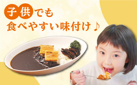 FISH COOK BOOK 対馬防人あなごカレー 4個 セット あなご 穴子 レトルトカレー スパイス 自衛隊 コラボ [WAI081]