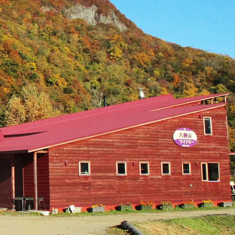 シードル kanonzすぱあくりんご  北海道産 シードル【720ml×1本】