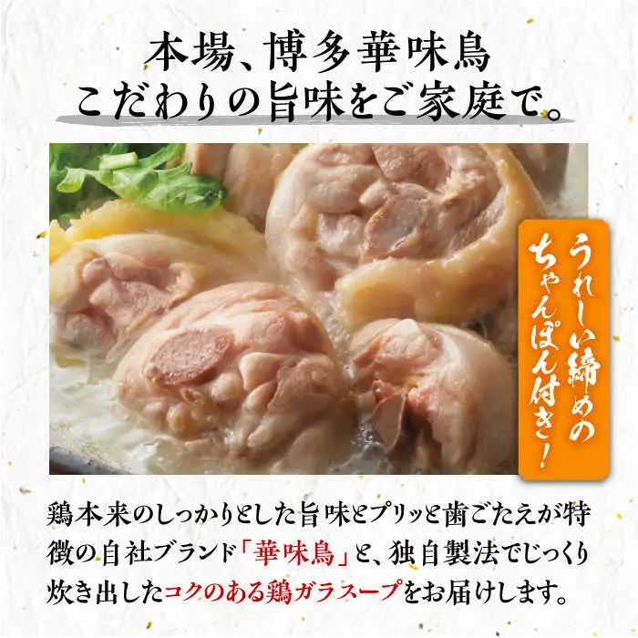 水炊き 【全6回定期便】 3‐4人前 [ABCN013] 水炊き