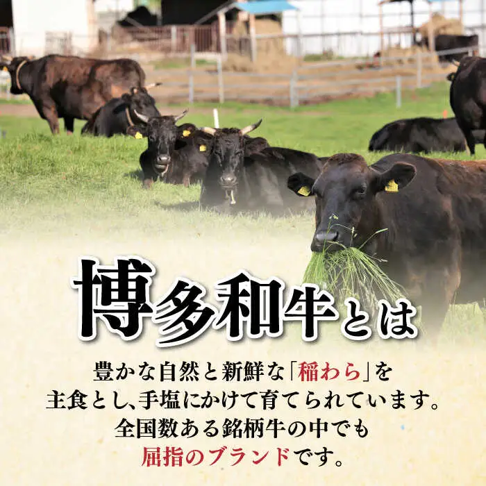 手ごね ハンバーグ 10個 [ABCL038] 冷凍 ハンバーグ