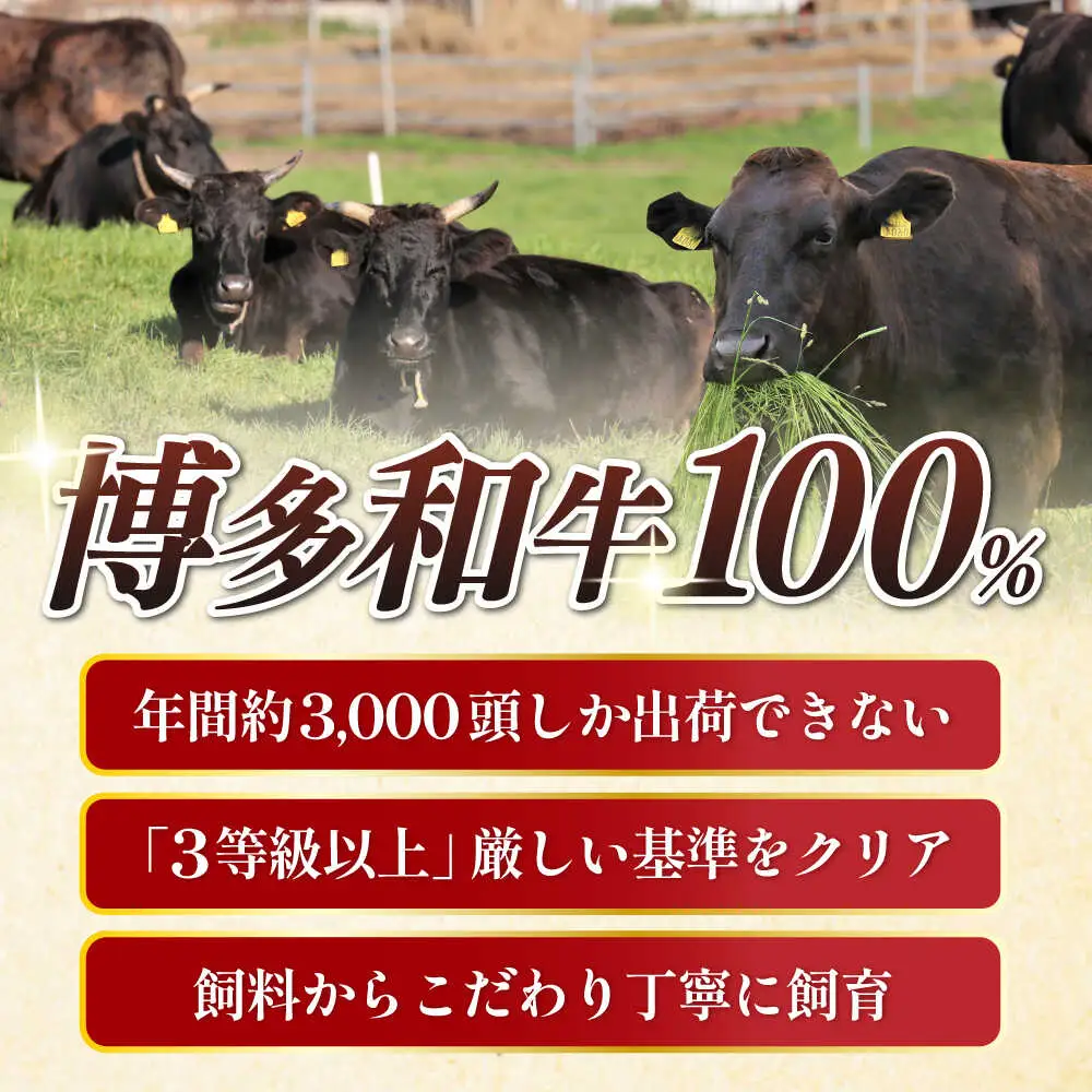 【2回定期便】 手ごね ハンバーグ 10個 [ABCL039] 冷凍 ハンバーグ