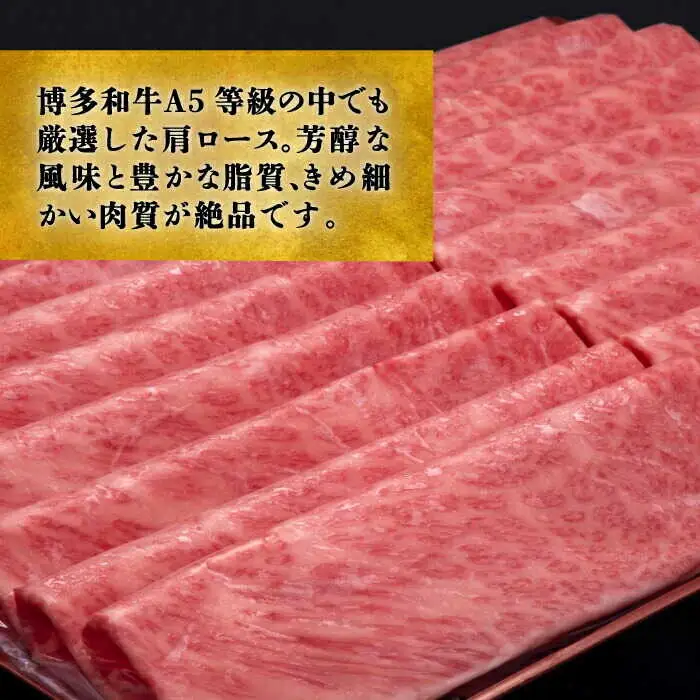 【全5回定期便】肩ロース 薄切り 1kg [ABCL071] 