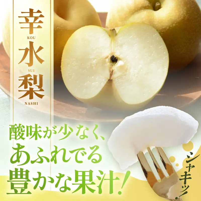 【先行予約】 農業歴70年以上！しづちゃんが作る幸水梨 5～8玉入（2.5～3kg）/ なし 果物 旬 フルーツ 甘い ジューシー 果汁 くだもの シャキシャキ 人気 完熟 もぎたて みずみずしい 越前梨 送料無料 福井 あわら市 ※2026年8月中旬以降順次発送予定 [aw075-a006]