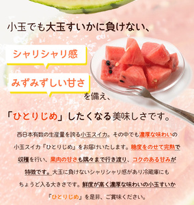 【先行予約】 小玉スイカ「ひとりじめ」 2玉 約3.6kg 紀州和歌山産