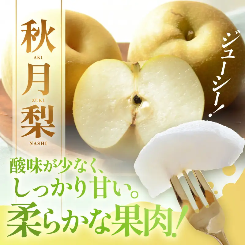 【先行予約】しづちゃんが作る 秋月梨 5～8玉入（2.5～3kg） 農業歴70年以上！ / なし 果物 旬 フルーツ 甘い ジューシー 果汁 くだもの シャキシャキ 人気 完熟 もぎたて みずみずしい 越前梨 送料無料 福井 あわら市 ※2026年9月中旬以降順次発送予定 [aw075-a008]