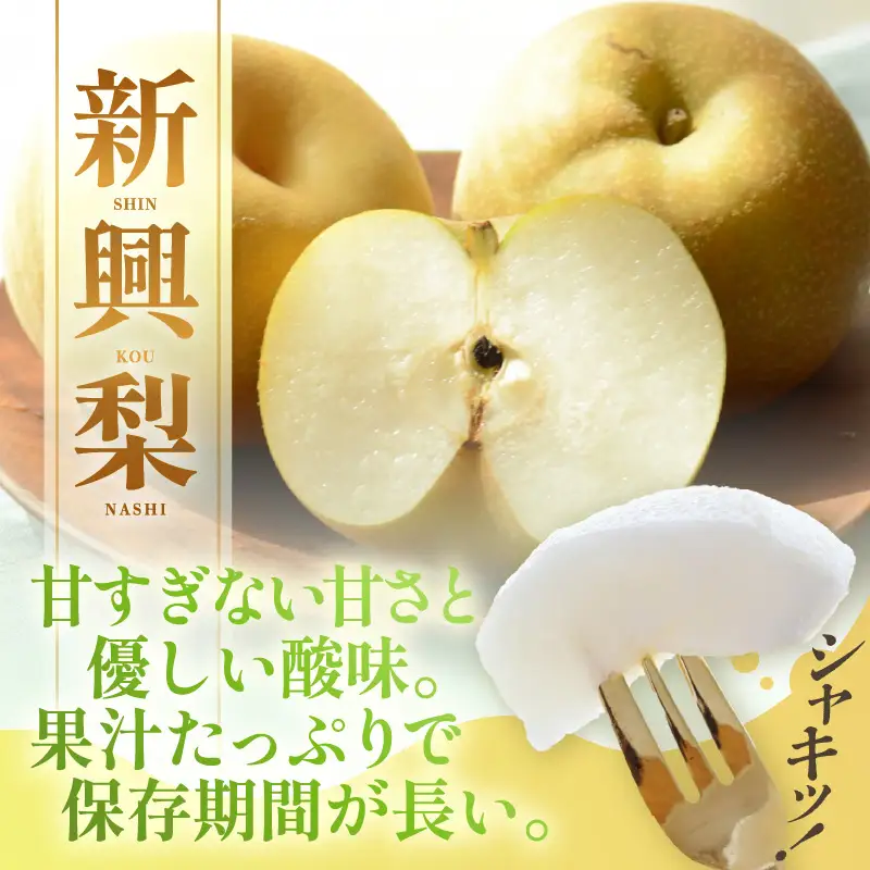 【先行予約】しづちゃんが作る 新興梨 5～8玉入（2.5～3kg）農業歴70年以上！ なし 果物 旬 フルーツ 甘い ジューシー 果汁 くだもの シャキシャキ 人気 完熟 もぎたて みずみずしい 越前梨 送料無料 福井 あわら市 ※2026年10月上旬以降順次発送予定 [aw075-a010]