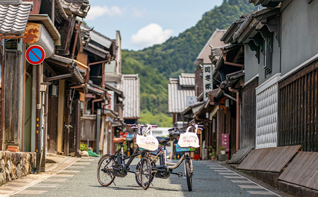 うだつの上がる町並みが散策できるペアレンタサイクル券（電動自転車） トートバック付き 体験チケット 走る 観光 観光地 イベント イラスト 探索 