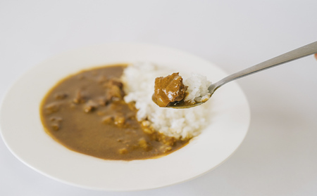 にいかわジビエカレー 4個セット 猪肉 イノシシ 加工品  /富山県黒部市 惣菜 レトルト レトルトカレー 夜食 ランチ 夕飯 箱のままレンジ 簡単調理 時短 イノシシカレー 