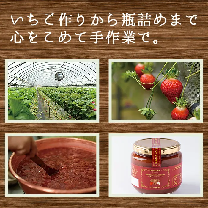 No.1022 手造りイチゴジャム(約500g×3本) 国産 九州産 鹿児島県産 いちご イチゴ 苺 不 ジャム フルーツ 果物 手作り 手造り 調味料 小分け 贈答 プレゼント 着色料無添加 保存料無添加【片平観光農園】