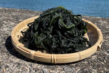CH030 有明海産島原わかめ　280g×2