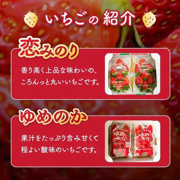 【2027年1月-発送】いちご2種類 食べ比べ 約250g×4P [SAC006] いちご