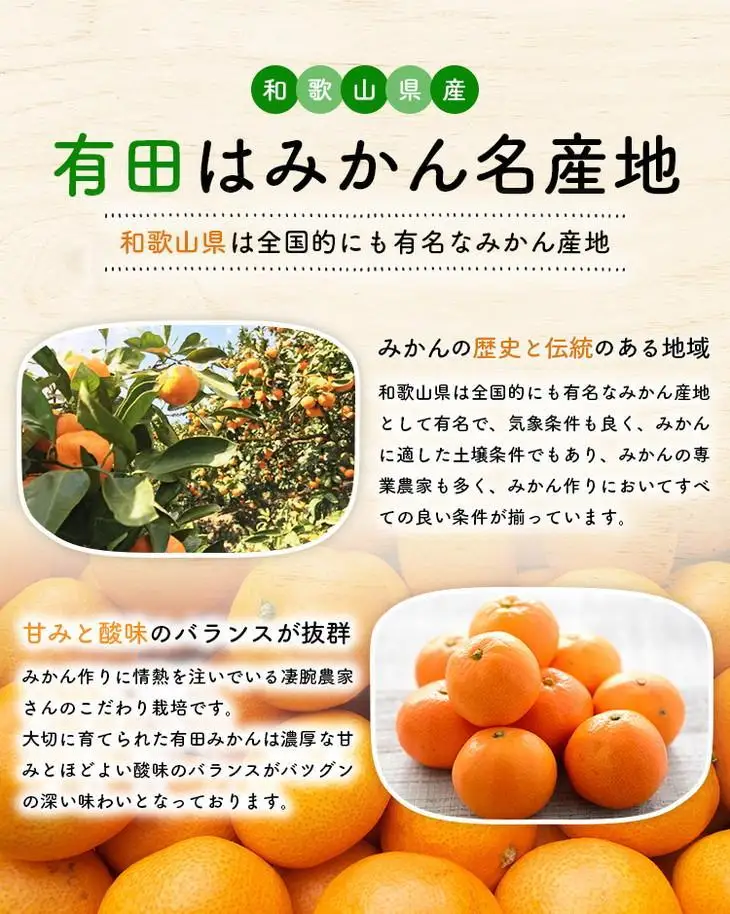 ［先行予約］ご家庭用 完熟 有田みかん 5kg［2026年12月発送予定］訳あり 農家直送［MS31-2］
