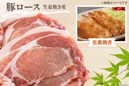 3回 定期便 宮崎県産 豚肉 ３種 セット ひき肉 こま切れ ロース生姜焼き用 小分け 合計5.4kg 各300g×2