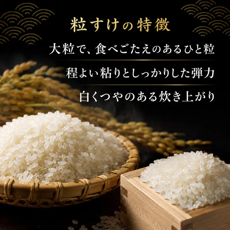 【先行予約・令和8年産】 粒すけ  白米5kg 　【 お米 こめ コメ おこめ 】 
