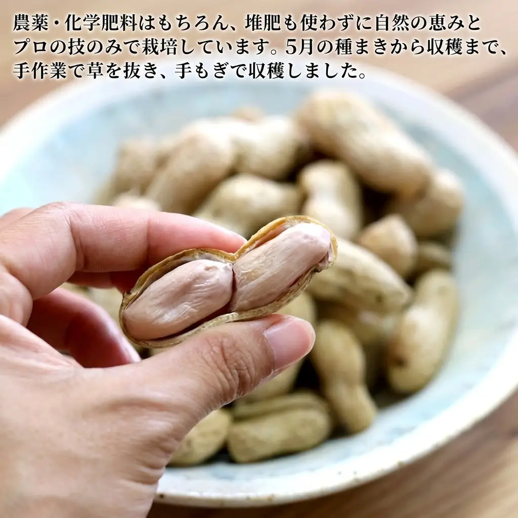 落花生セット あんばい農園 完熟・適熟 生落花生 食べ比べ 落花生セット【1.7kg】