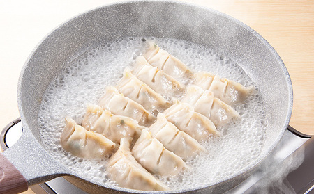 YAMATOぎょうざ　柚子　12個入り4箱【 加工品 惣菜 冷凍 中華 点心 ギョーザ 餃子 ゆず 柚子 あっさり 夕飯 おかず つまみ 】 