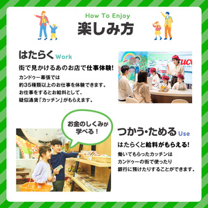 ペアチケット カンドゥー 親子 大人1名分 ペアチケット
