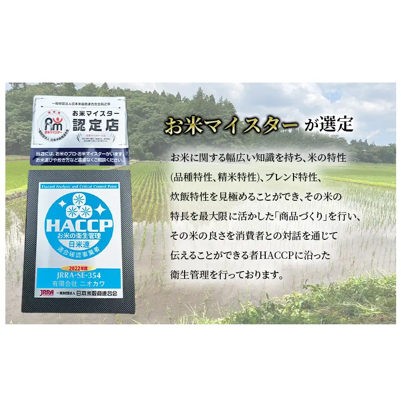 令和7年 ふさおとめ　白米　5kg 【 お米 精米 大粒 粘り気 ファン 】 千葉県 