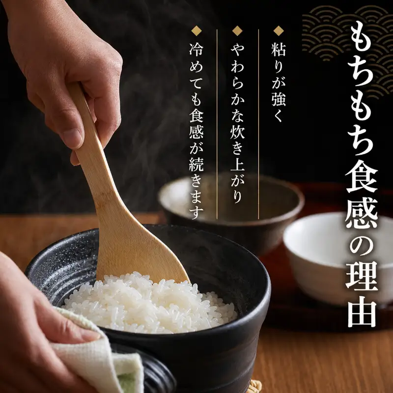 無洗米 令和7年 ミルキークイーン 10kg 無洗米