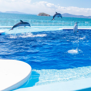 四国水族館 ＜大人＞ペア入館券 FAH-0151