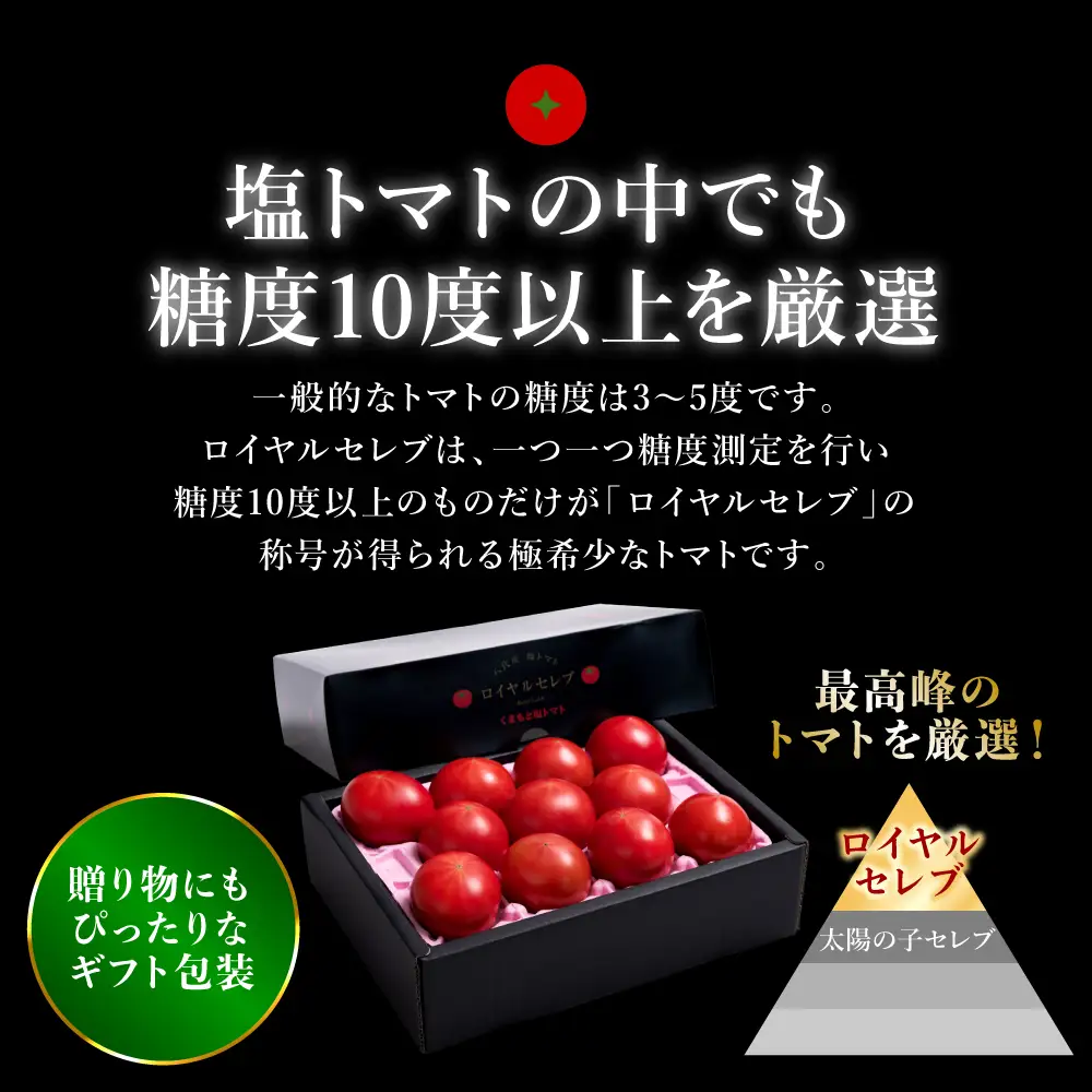 トマト 【先行予約】 くまもと塩トマト 「ロイヤルセレブ」 約1kg 【2027年1月上旬より順次発送】 トマト
