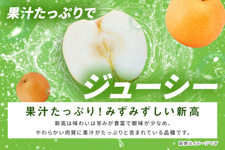 訳あり 新高 梨 5kg 柴沼梨園 BX-008