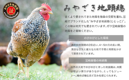 みやざき 地頭鶏 鶏皮 炭火焼 真空 パック 180g × 4袋