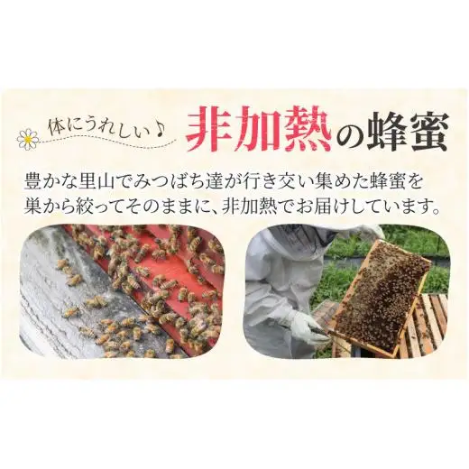 生はちみつ 200g×2本 【プラボトル】  / 国産 天然 はちみつ ハチミツ 蜂蜜 ハチミツ 純粋はちみつ 蜂蜜 百花 非加熱 国産 ギフト 贈答用 プレゼント レモン 紅茶 梅干し 富山県 滑川市 ハニー 人気 おすすめ [A-033002]