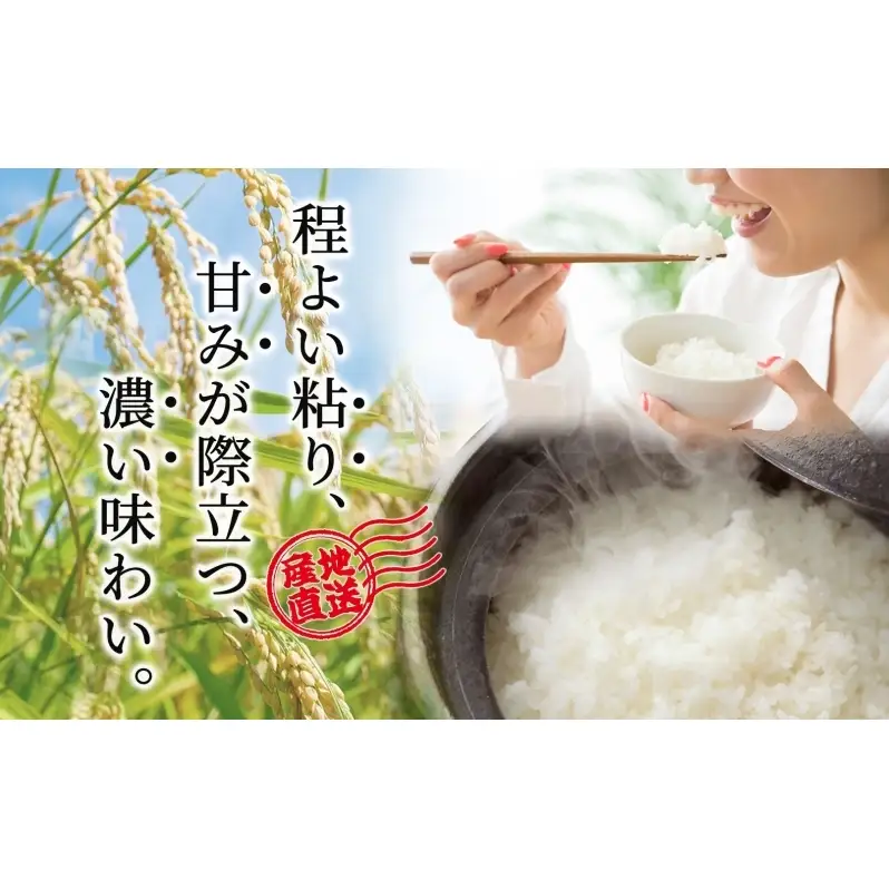 米 ゆめぴりか 精米 白米 令和8年産 10kg 北海道米