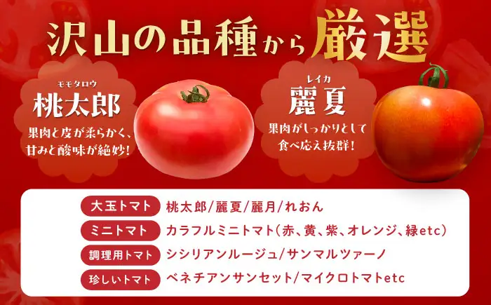 【2週間以内に発送！】 トマトの宝石箱 2kg / 恵那市 / クリエイティブファーマーズ [AUAH014]