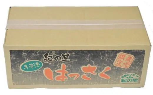  和歌山産手剥き八朔缶詰450g×8缶入り / 果物 くだもの フルーツ みかん 缶詰 【tec107-450-8A】
