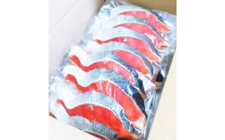  【天然鮭使用】大ボリューム！こだわり仕込の天然紅サケ切身 約1kg / 鮭 サケ 切り身 冷凍 おかず 人気 【uot715C】