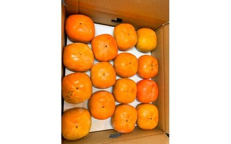  【先行予約】【ご家庭用わけあり】和歌山秋の味覚　平核無柿（ひらたねなしがき） 約7.5㎏　※2026年10月上旬頃〜2026年11月上旬頃順次発送（お届け日指定不可） / 果物 フルーツ 柿 旬 人気 先行予約 訳あり【uot718A】