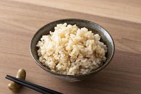 定期便6回【令和７年産】丹波篠山産 コシヒカリ 玄米 5kg DS09