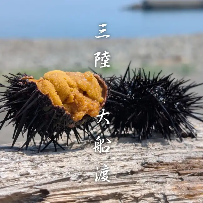 焼うに 3個 冷凍 うに