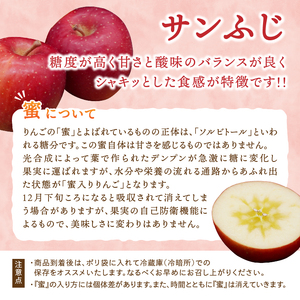 【少量お試し用】 江刺りんご 「サンふじ」 6玉入 【11月下旬以降順次お届け】 [AQ038]